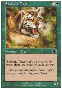Stalking Tiger