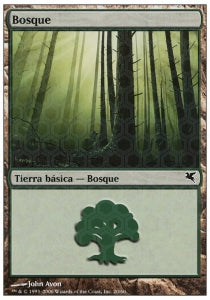 Forest (V.6) - Salvat-Hachette (Land)
