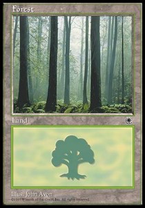 Forest (V.3) - Portal (Land)