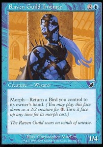 Raven Guild Initiate - Scourge (Common) [SCG-46]