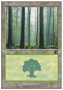 Forest (V.4)