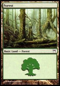 Forest (V.1) - Champions of Kamigawa (Land) [CHK-303]