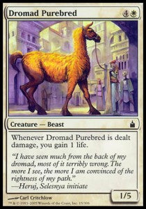 Dromad Purebred - Ravnica: City of Guilds (Common) [RAV-15]