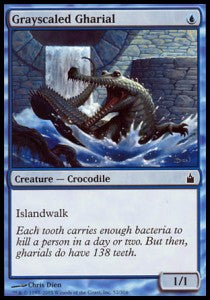 Grayscaled Gharial - Ravnica: City of Guilds (Common) [RAV-52]