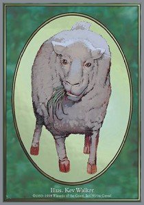 Sheep Token
