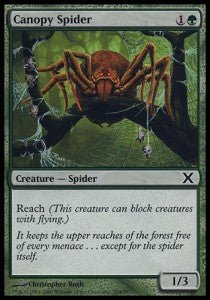 Canopy Spider - Tenth Edition (Common) [10E-254]