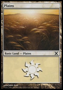 Plains (V.2) - Tenth Edition (Land) [10E-365]