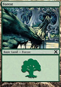 Forest (V.1)