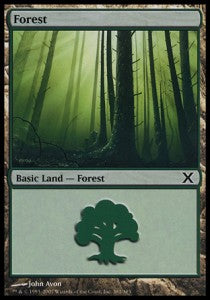 Forest (V.2)