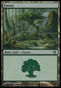 Forest (V.3)