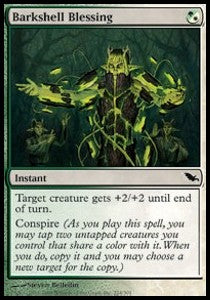 Barkshell Blessing - Shadowmoor (Common) [SHM-224]