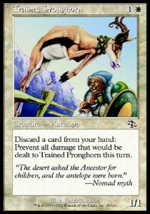 Trained Pronghorn - Judgment (Common) [JUD-30]