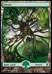 Forest (V.8) - Zendikar (Land) [ZEN-249]