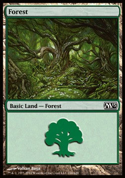 Forest (V.1) - Magic 2013 (Land) [M13-246]