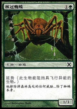 Canopy Spider - Simplified Chinese Alternate Art Cards (Common) [SCAA-254]