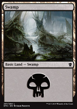 Swamp (V.2) - Dragons of Tarkir (Land) [DTK-257]