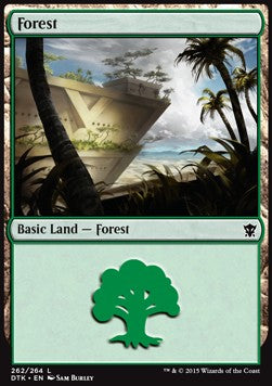 Forest (V.1) - Dragons of Tarkir (Land) [DTK-262]