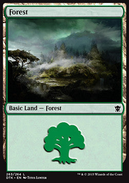 Forest (V.2) - Dragons of Tarkir (Land) [DTK-263]