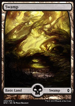Swamp (V.1) - Battle for Zendikar (Land) [BFZ-260]