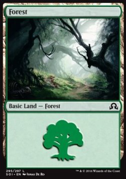Forest (V.1) - Shadows over Innistrad (Land) [SOI-295]