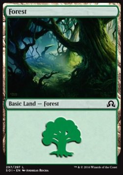 Forest (V.3) - Shadows over Innistrad (Land) [SOI-297]