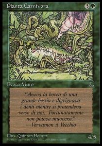 Carnivorous Plant - The Dark Italian (Common)