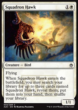 Squadron Hawk - Masters 25 (Common) [A25-34]