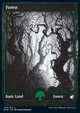 Forest (V.1) - Innistrad: Midnight Hunt (Land) [MID-276]