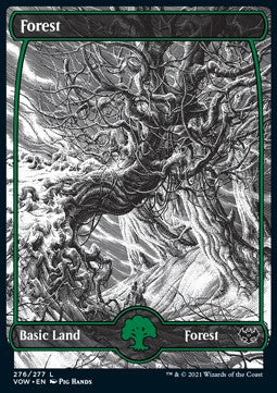Forest (V.1) - Innistrad: Crimson Vow (Land) [VOW-276]
