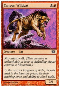 Canyon Wildcat - Eighth Edition (Common) [8ED-181]