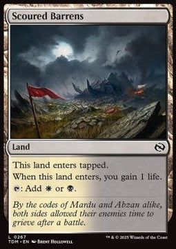 Scoured Barrens