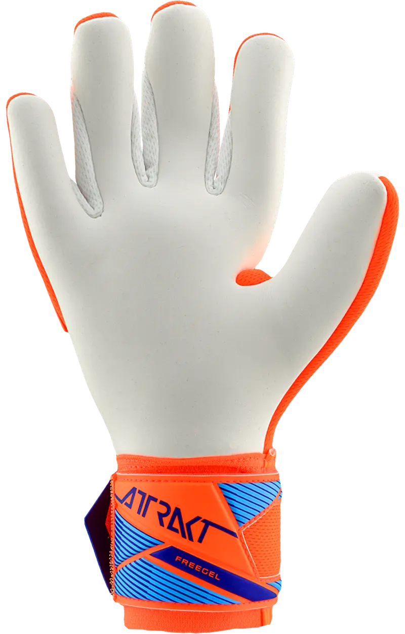 REUSCH ATTRAKT FREEGEL ADVACE