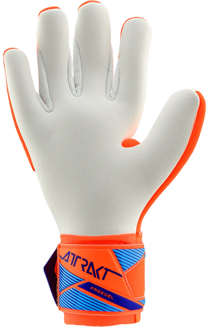 REUSCH ATTRAKT FREEGEL ADVACE