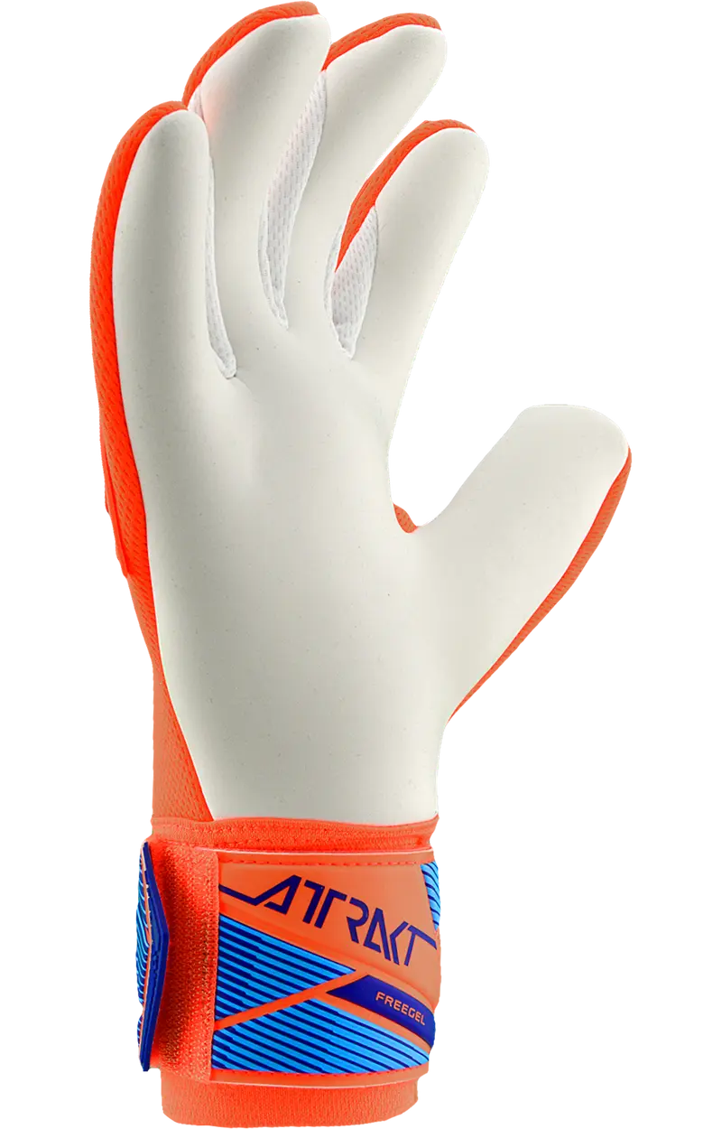 REUSCH ATTRAKT FREEGEL ADVACE